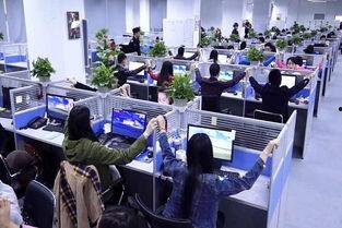 娱乐公司员工吃瓜现场,员工吃瓜现场揭秘幕后故事  第3张