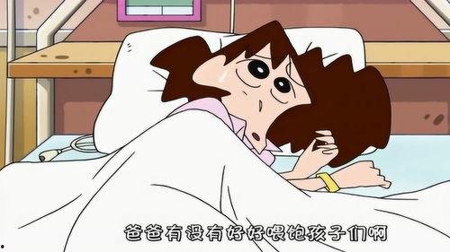 吃货小新爆料视频大全,视频大全中的美食盛宴  第3张